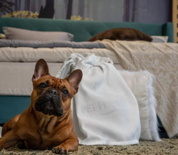 Κάλυμμα Στρώματος Pet Friendly