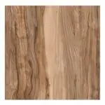 HPL 80X80 ΕΠΙΦΑΝΕΙΑ FOREST 12mm