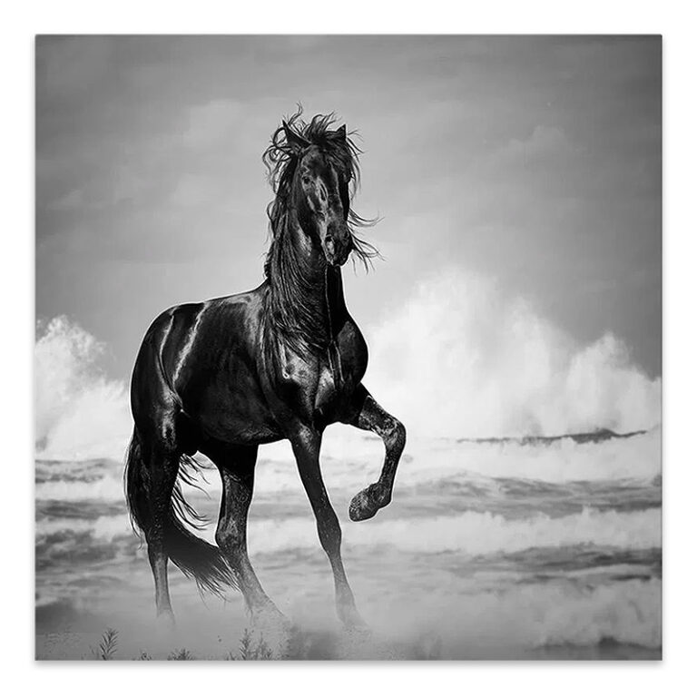 Πίνακας σε καμβά “Black Horse” ψηφιακής εκτύπωσης 60x60x3εκ.