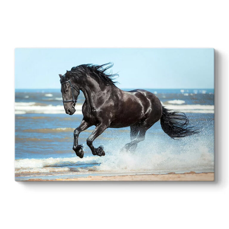 Πίνακας σε καμβά “Black Horse” ψηφιακής εκτύπωσης 100x70x3εκ.
